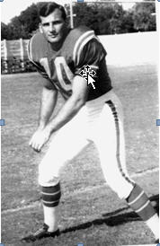 Don Fuell