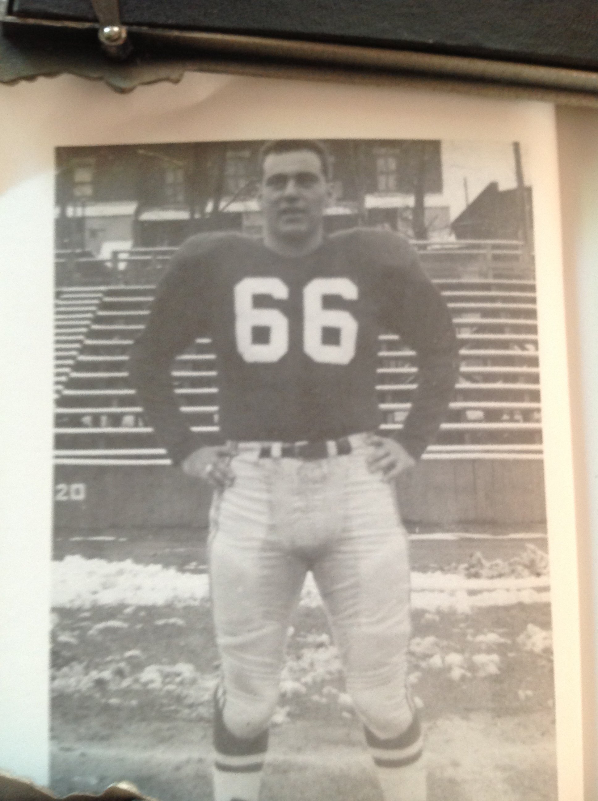 Joe Pedicelli